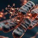Copper & Mitochondrial