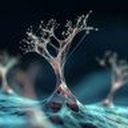 Tissue Repair & Regenerative